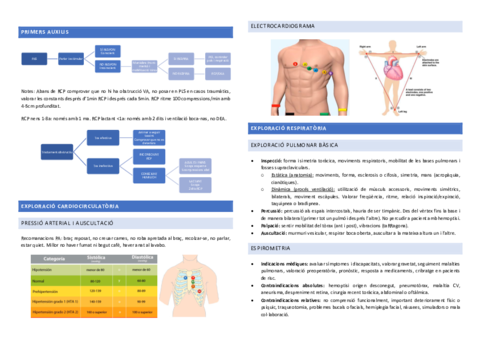 Resum-coses-importants-fisio-HPC.pdf