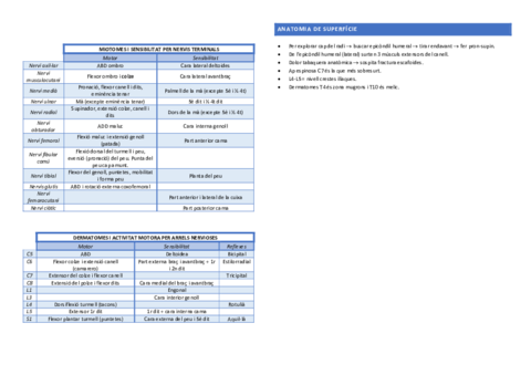 Coses-importants-resum-sirvent.pdf