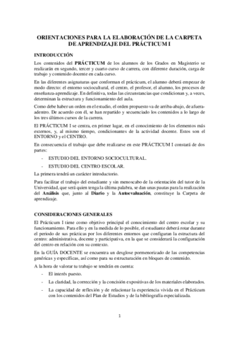 practicum-I-orientaciones.pdf