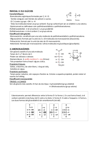 Glucidos.pdf