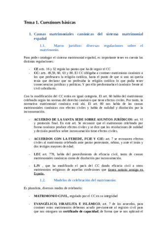 Tema 1 .pdf