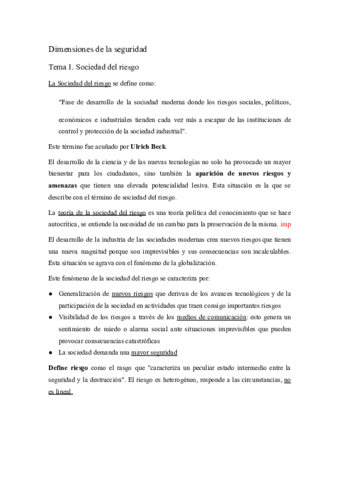 Dimensiones-de-la-seguridad.pdf