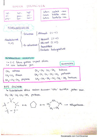 Formulazio-organikoa-teoria.pdf
