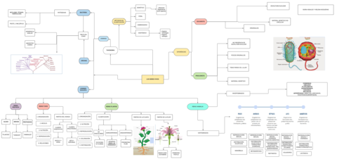 Mapa-conceptual-Clasificacion-de-los-seres-vivos-3-2.pdf