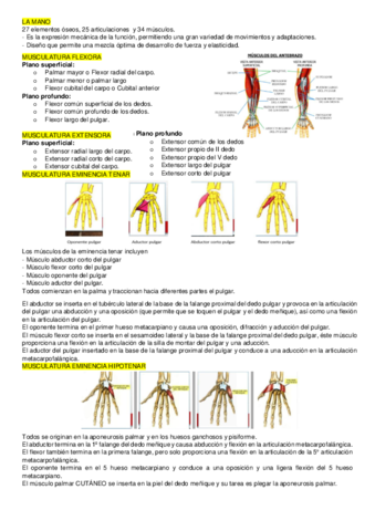 BIOMECANICA-2.pdf