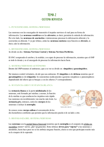TEMA-2-SISTEMA-NERVIOSO.pdf