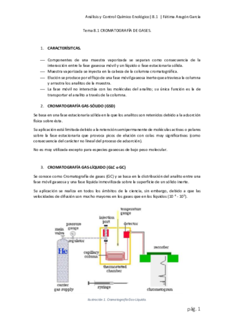 Cromatografía de gases.pdf