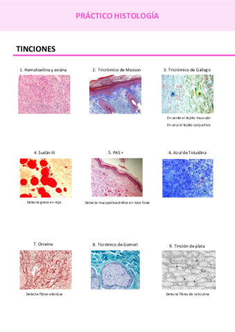 Examen-de-practicas-todo.pdf