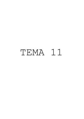 Resumen-T-11.pdf