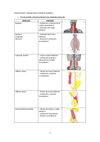 KINESIOLOGIA-Y-BIOMECANICA-HUMANA-GABRIEL-FICHAS.pdf