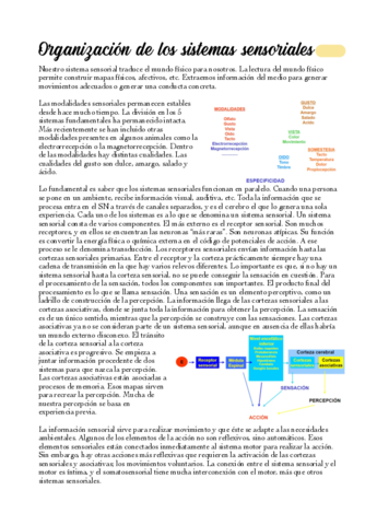 03-Organizacion-y-propiedades-de-los-sistemas-sensoriales.pdf