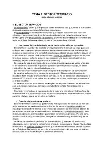 TEMA-7-SECTOR-TERCIARIO.pdf