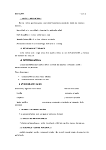 economia-resumen-T.pdf
