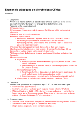 Examen-Practiques-Microbiologia-Clinica.pdf