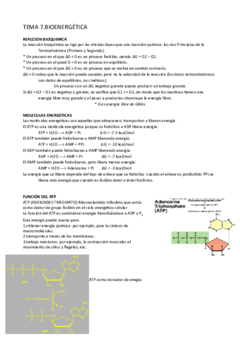 Tema-7.pdf