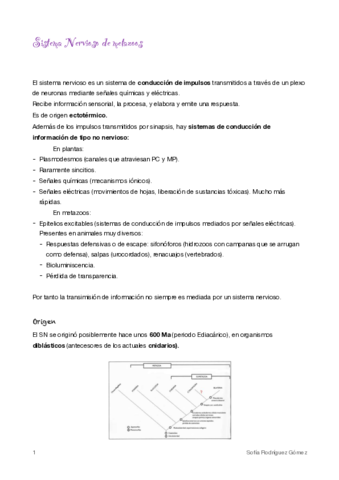 7-Sistema-Nervioso.pdf