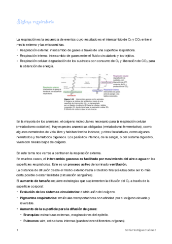 11-Respiratorio.pdf