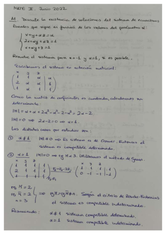 Resolucion-Junio-2022.pdf