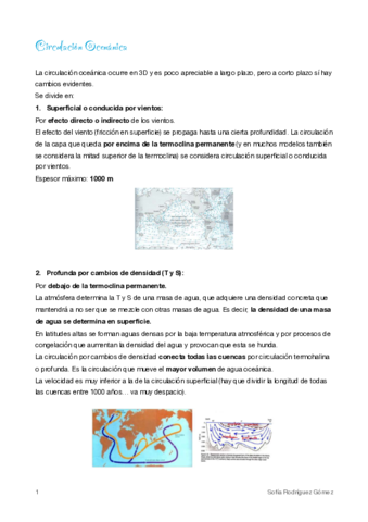4-Circulacion-Oceanica.pdf