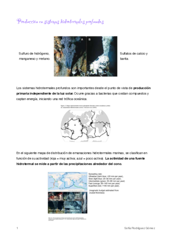 6-Hidrotermales-profundos.pdf