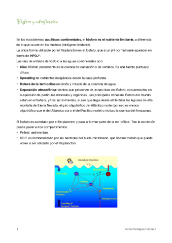 11-Fosforo-y-eutrofizacion.pdf