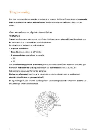 6-Envueltas-y-estructuras-complejas.pdf