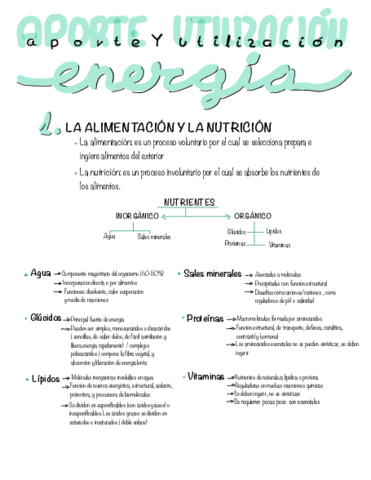 Aporte-Y-Utilizacion-De-Energia.pdf