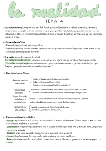 La-Realidad-Tm4.pdf