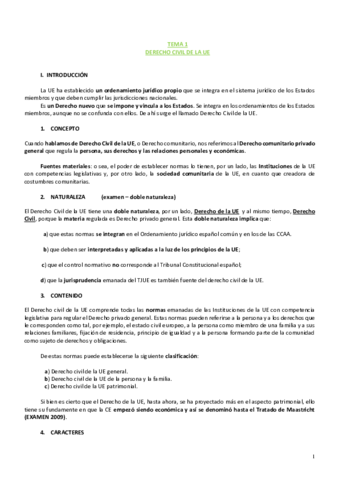 Derecho-civil-de-la-UE-apuntes.pdf