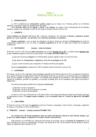 Derecho-civil-de-la-UE.pdf