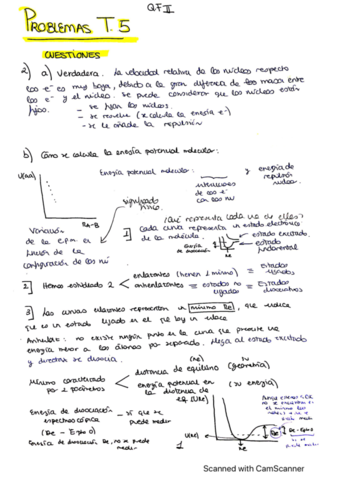 T5. Cuestiones y problemas