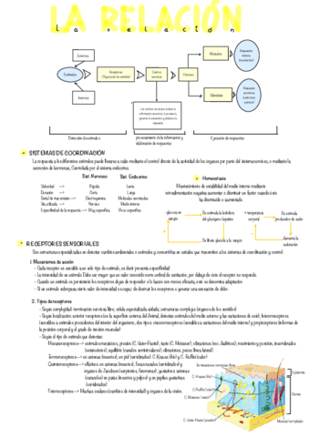 Tm15-La-Relacion-En-Los-Animales.pdf