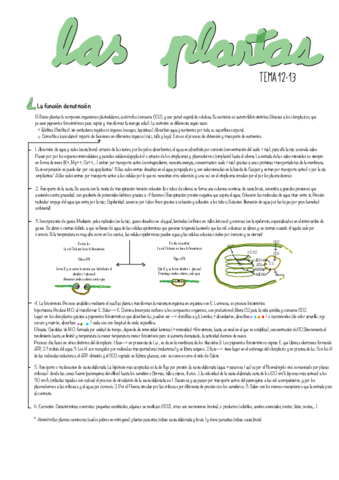 Tm12-y-13.pdf