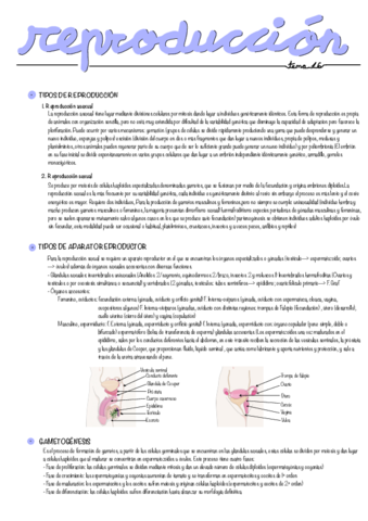La-Reproduccion-Tm16.pdf