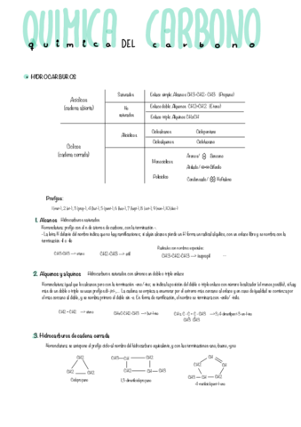Tm-8-Quimica-Del-Carbono.pdf