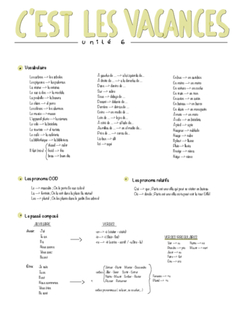 Tm-6-Cest-Les-Vacances-.pdf