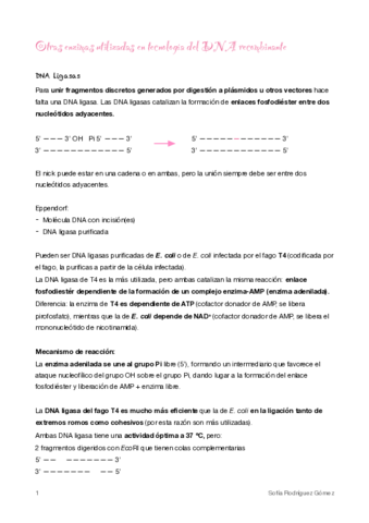 3-Otras-enzimas.pdf