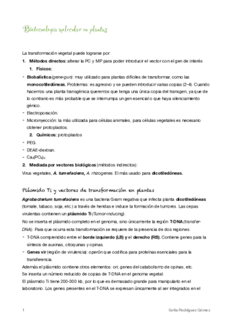 10-BM-en-plantas.pdf