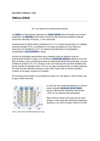 Apuntes-clase-Biologia-02.pdf