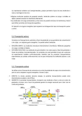TEMA6 (solo transportes).pdf
