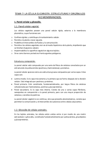 TEMA-7.pdf