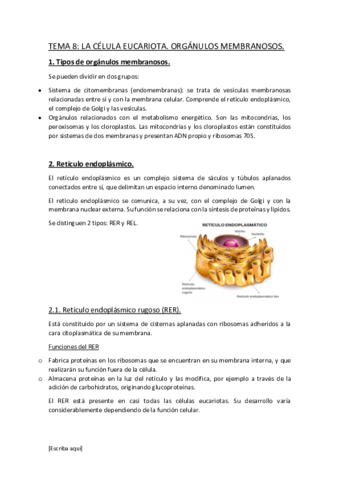 TEMA8.pdf