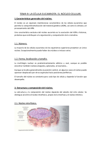 TEMA-9.pdf