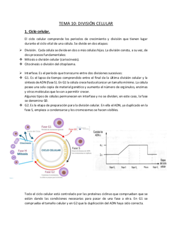 TEMA-10.pdf