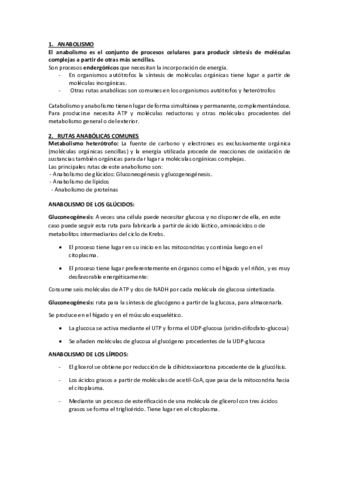 Apuntes-Tema-11-Anabolismo.pdf