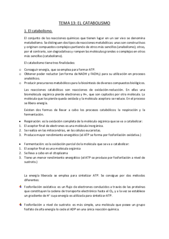 TEMA-13.pdf