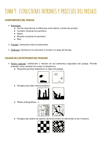 TEMA-9-ESTRUCTURAS-PATRONES-Y-PROCESOS-DEL-PAISAJE.pdf