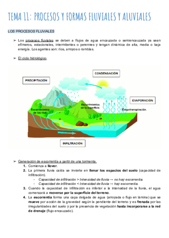 TEMA-11-PROCESOS-Y-FORMAS-FLUVIALES-Y-ALUVIALES-1.pdf