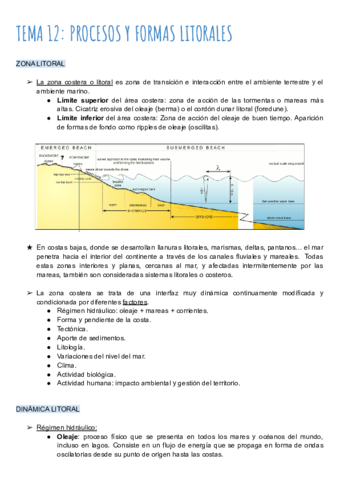 TEMA-12-PROCESOS-Y-FORMAS-LITORALES.pdf