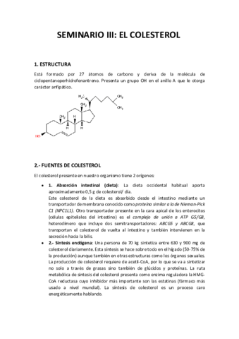 SEMINARIO-III-BQ-21-22.pdf
